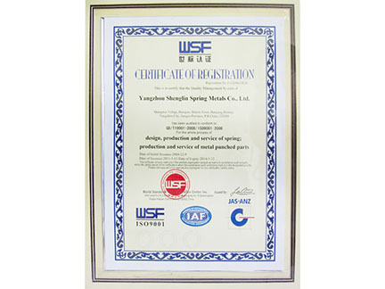 World Standard Certification